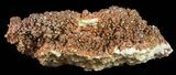 Huge Plate Of Ruby Red Vanadinite Crystals - Wide #59958-3